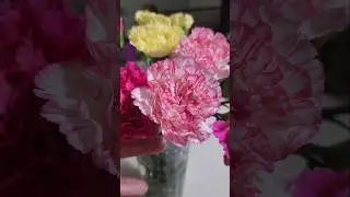 Flor de Clavel #carnations #valentinesday #flores