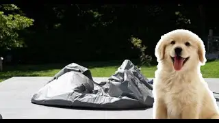 Can i protect my hot tub from my Dog?