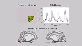 Retinotopic map reconstructed from magnetoencephalography (MEG) by VBMEG