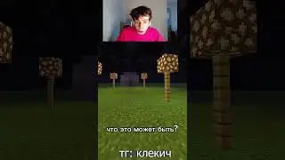 СТРАННАЯ МЕСТНОСТЬ #клекич #майнкрафт #рек #головоломка #тг #подпишись