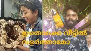 ഇതൊക്കെ വീട്ടിൽ വളർത്താമോ#petshow #animalpets#PetLoversUnite#InstaPets#PetStarsOnParade #outing#vlog