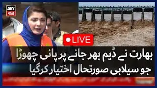🔴LIVE | Punjab Flood | CM Punjab Maryam Nawaz's Media Talk | ARY News Live