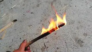 lambriu puternic inflamabil /fatwood/lemn gras