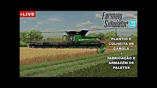 🔴AO VIVO FARMING SIMULATOR 23🔴 PLANTIO E COLHEITA DE CANOLA E FABRICA&Ccedil;&Atilde;O E ARMAZ&Eacute;M DE PALETES