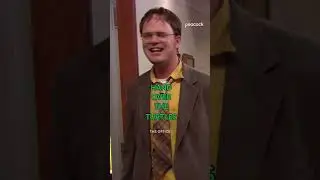 WHERE ARE THE TURTLES?! 🍫 #TheOffice #MichaelScott #DwightSchrute #Shorts
