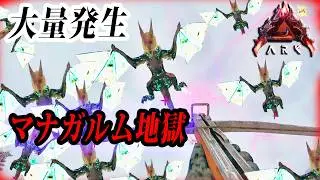 【ARK】マナガルム大量発生！これは地獄か？No 脳筋テイムで乱獲天国じゃ！！#arksurvivalascended 【ロストコロニー】公式PVE