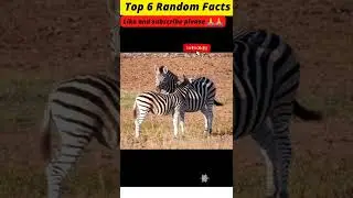 Top 6 Random Facts | #shorts  #shortsfeed  #youtubeshorts