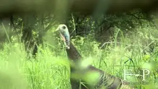 Field Proven Calls Combo Cut Turkey Call