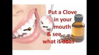 Put a Clove in your mouth & see what it does (Please click Sub-Title on screen if you need)