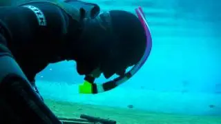 Morrison F-Diving leveling camera