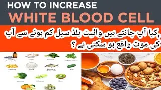 How To Increase White Blood Cells Fast from yogurt to papaya leaf juice - that boost immunity.