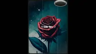 Beautiful Mind 🙂🙂#lojical #shorts #videos