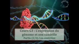 Cours G3 : L'expression du génome (2/2): les contrôles