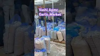Vashi Apmc Garlic Market #shorts #ytshorts #viral #trending