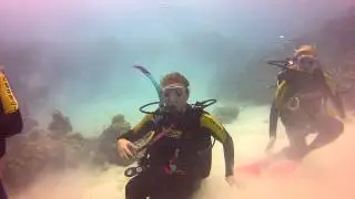 Dancing divers at the reef!