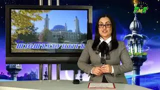 Новости ТМТ 23.08.2019