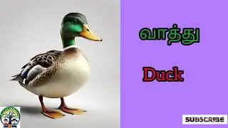 பறவைகளின் பெயர்கள் | Birds names in Tamil..Chinni