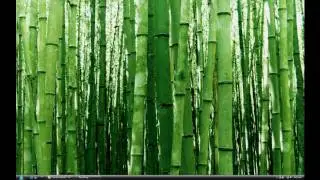 How you move your task bar in windows vista