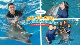 Ultimate Dolphin Adventure &middot; Swim with Dolphins &middot; Dubai Dolphinarium