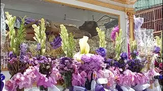 :🙏 Procesión del Santo Sepulcro en Villa de Cura 🇻🇪 | Devoción y Tradición en 360° 📹