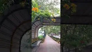 Chatiwind Nehar | Amritsar Tourist Places | Nature Photography