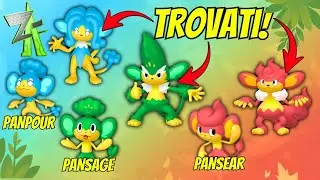 Dove TROVARE e COME EVOLVERE Panpour, Pansear e Pansage! - POK&Eacute;MON LEGGENDE ZA