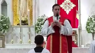 Homilia † São Marcelo I, Papa e Mártir, 19h – 16/01/2026