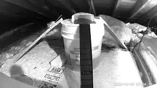 Flip N Slide mouse trap