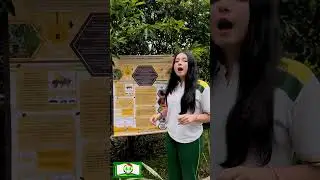 Estrategia did&aacute;ctica para la conservaci&oacute;n de la familia apidae en el municipio de Barbosa Santander🐝