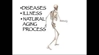 Fall Prevention using Tai Chi Based Balance Exercise #Seniorexercise #Taichi #physicaltherapist