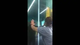 Maestra Vidriera cortando vidrio de 200m