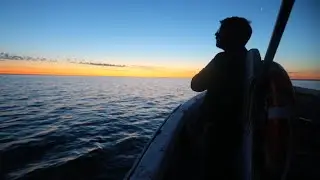 The Journey from Sea to Table