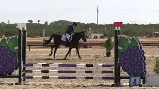 Sara Bayles (Plain Bagel HE) - Twin Rivers Ranch Fall International September 2025 - Show Jumping