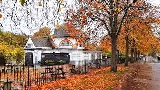 Autumn London walk in the Rain in Greenwich Park | October 2020