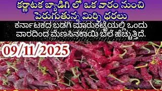 కర్ణాటక బ్యాడిగి లో ఒక వారం నుంచి పెరుగుతున్న మిర్చి ధరలు