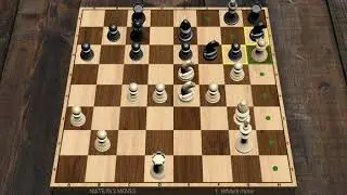 Chess puzzle (level 15 and 16)