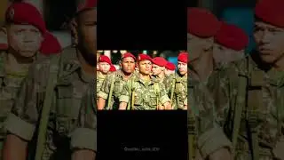 Anf&iacute;bio | CIGS 🐆 & PQD 🦅 (edit militar) 🇧🇷