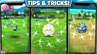 Strength of Steel Event: Top Tips and Strategies for 3x Catch Stardust!