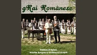 Doamne ocroteste-i pe romani & Asa-i romanu' (feat. Nicolae Botgros)