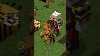 Best MINECRAFT SERVER to join in 2025 (1.21)