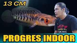 OUTDOR?? YA BUKANLAH, INI HASIL PROGRES INDOOR BOSS
