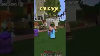 Hermitcraft out of context..