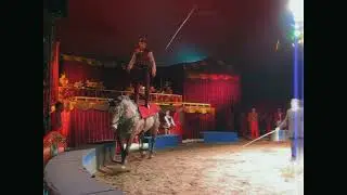 A Magyar Nemzeti Cirkusz 2011-es idénynyitójából részletek.