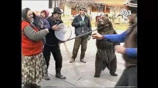 Ljubisa sa meckom 1997.