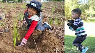2020 Lake Claremont #treeplantation with FOLC Friends of Lake Claremont in #perth  Australia