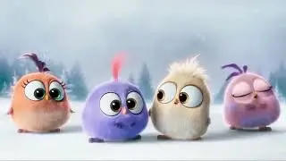 Angry bird cute