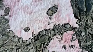 Pink ice in Italy's Alps stimulates climate crisis concerns