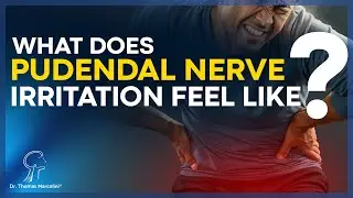 Pudendal Nerve Neuralgia: Symptoms, Causes & Best Treatments for Pelvic Pain