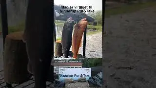 Kinnerup Put&Take Maj 2021