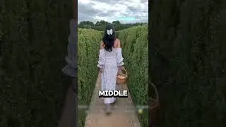 Как выбраться из ЛАБИРИНТА! 😨